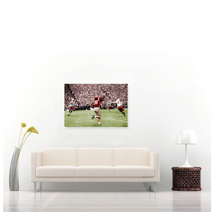 Doak Over Landry (Fine Art on Sintra)
