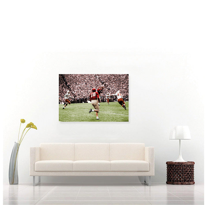 Doak Over Landry (Fine Art on Sintra)