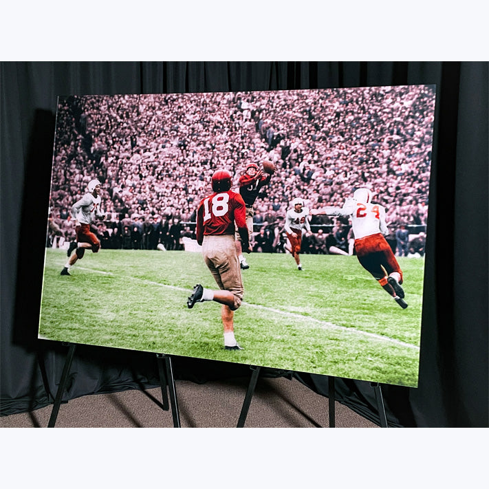 Doak Over Landry (Fine Art on Sintra)
