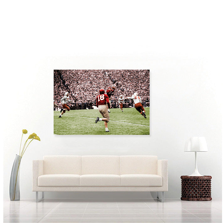 Doak Over Landry (Acrylic)